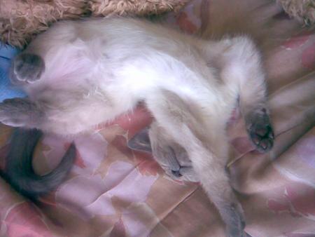 Petite photo du dimanche apr�s midi 