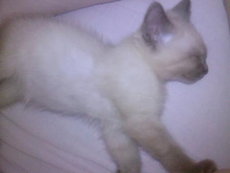 Petite photo du soir � la chaleur 