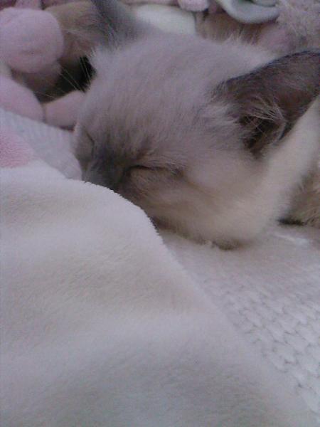 Ton arriv�e � la maison 