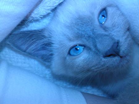 Ta premi�re photo avec tes yeux ouvert