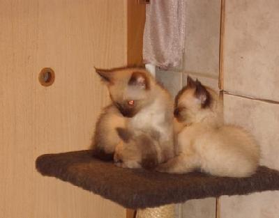 La premi�re rencontre 