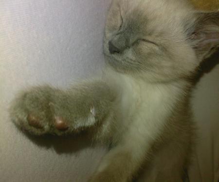 Tu grandis trop vite ..