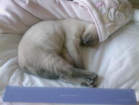 Tu es si petite mon loulou !!!