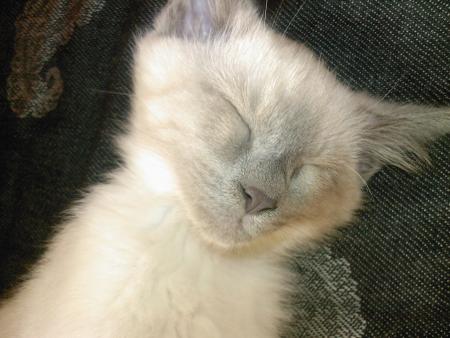 La douceur incarn� 