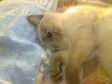 Rhoo je te mangerais !!!