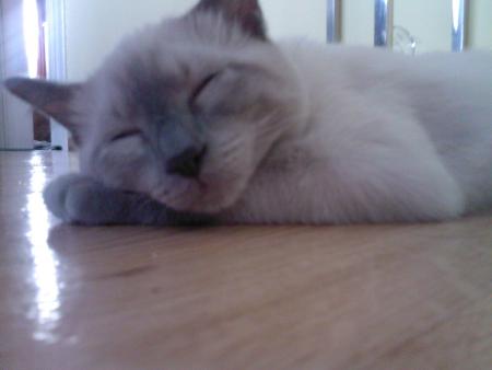 Mon b�b� bambou je t'aime