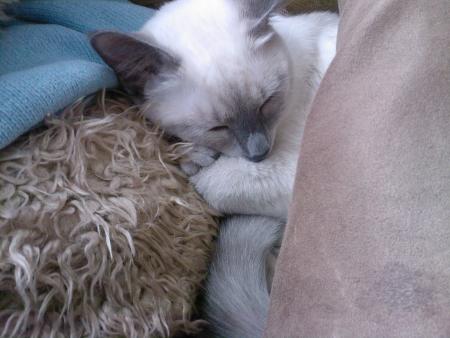 J'aime �tre en boule 