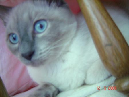 Que t'es belle mon b�b� d'amour !!! 