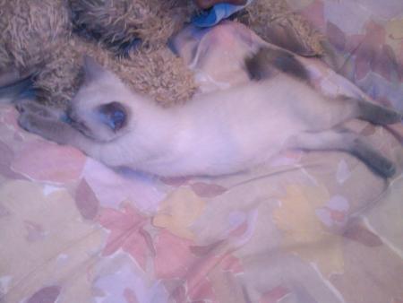 Mya en toute intimit� 