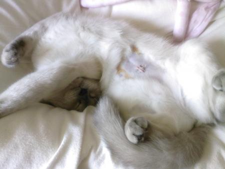 Je vais bien tout va bien !!!