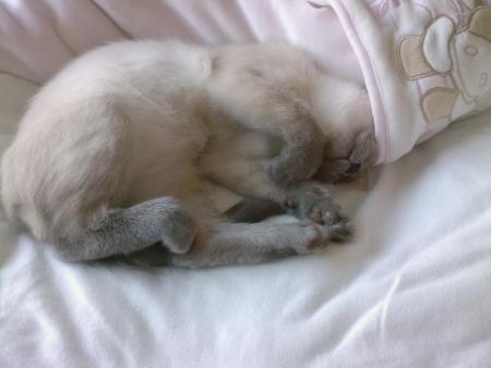 Ton insoussience de b�b� 