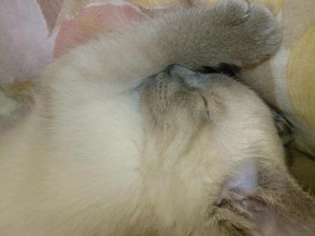 Tu es la plus belle chose qui met arriv�e 