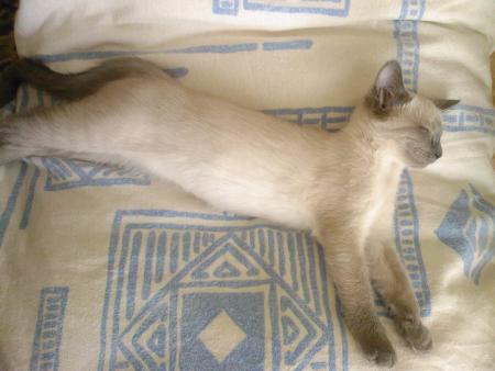 Quelques jours apr�s 