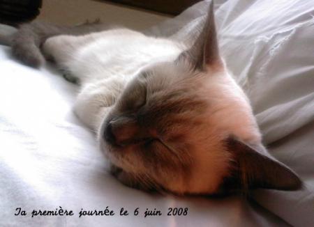 Premi�re journ�e de femme ...