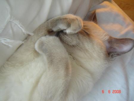 Tu vas de mieux en mieux !!!