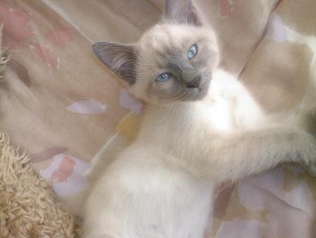 Voil� quand je veux !!!!