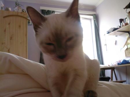 Mon amour qui fait son pain sur mon ventre 