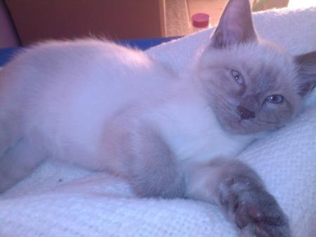 On fait les douc yeux !!!!