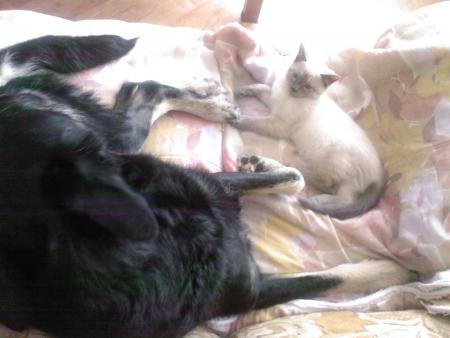 Entre amis tout beigne 