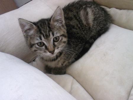 Sa toute premi�re photo 