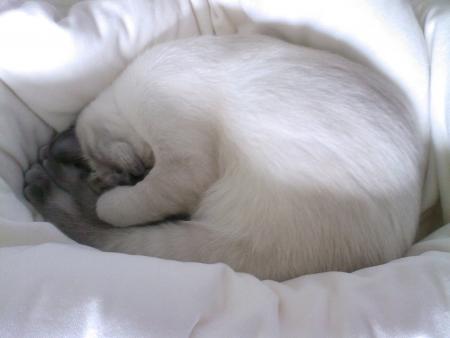 Tout va bien ... Je vais bien !!!