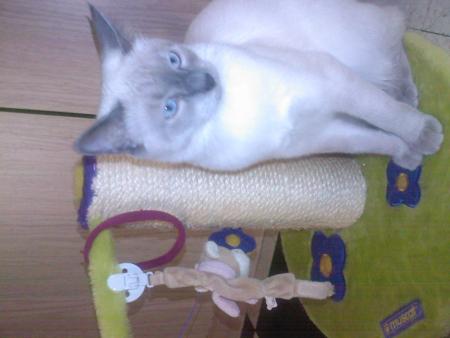 J'en ai assez des photos !!!