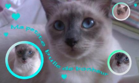 Dans 2 jours Mya � 9 mois !!! petit poeme avec 2 jours d'avance ...