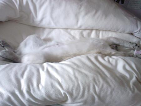 La vie est si dur ....