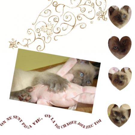 Happy birthday mon coeur !!!